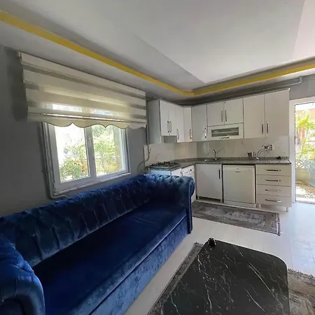 House Style *